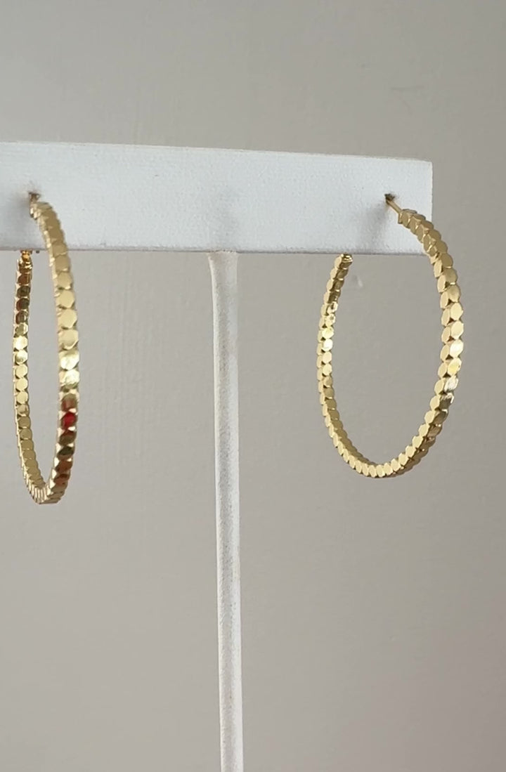 Sophia Hoops