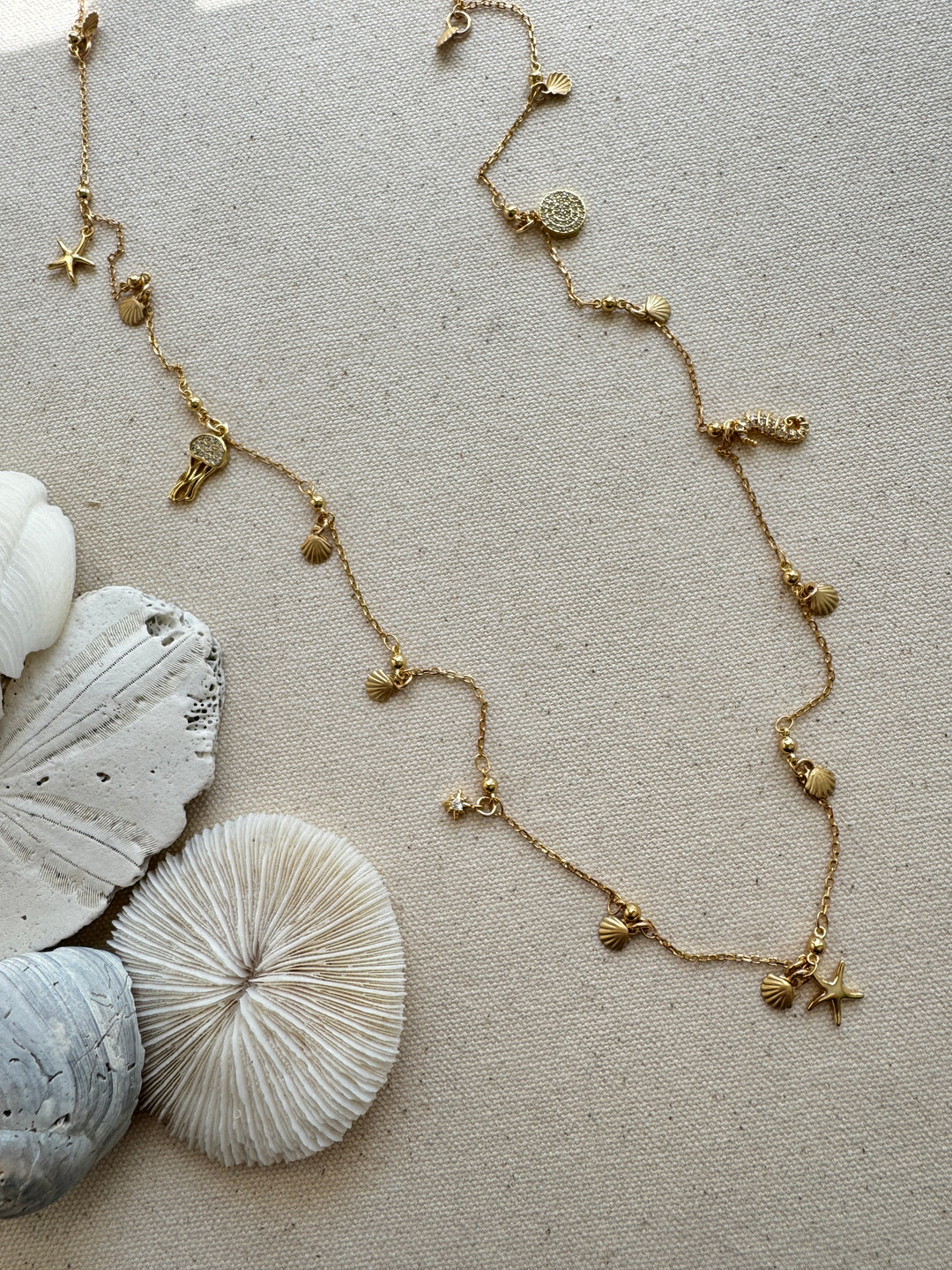 Sandbucket charm necklace

starfish, jellyfish, seahorse